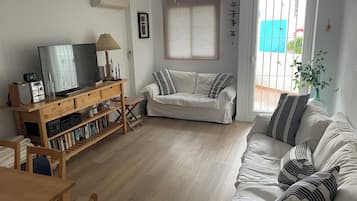 Een smart-tv, een dvd-speler, boeken en een stereo