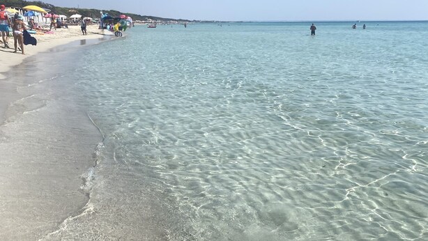 Une plage avec une eau claire et peu profonde, un rivage sablonneux et des parasols de plage.