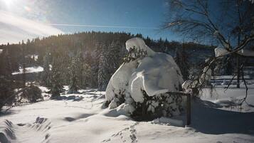 A snow-covered landscape with a wooden post and a snow-covered tree in the foreground.