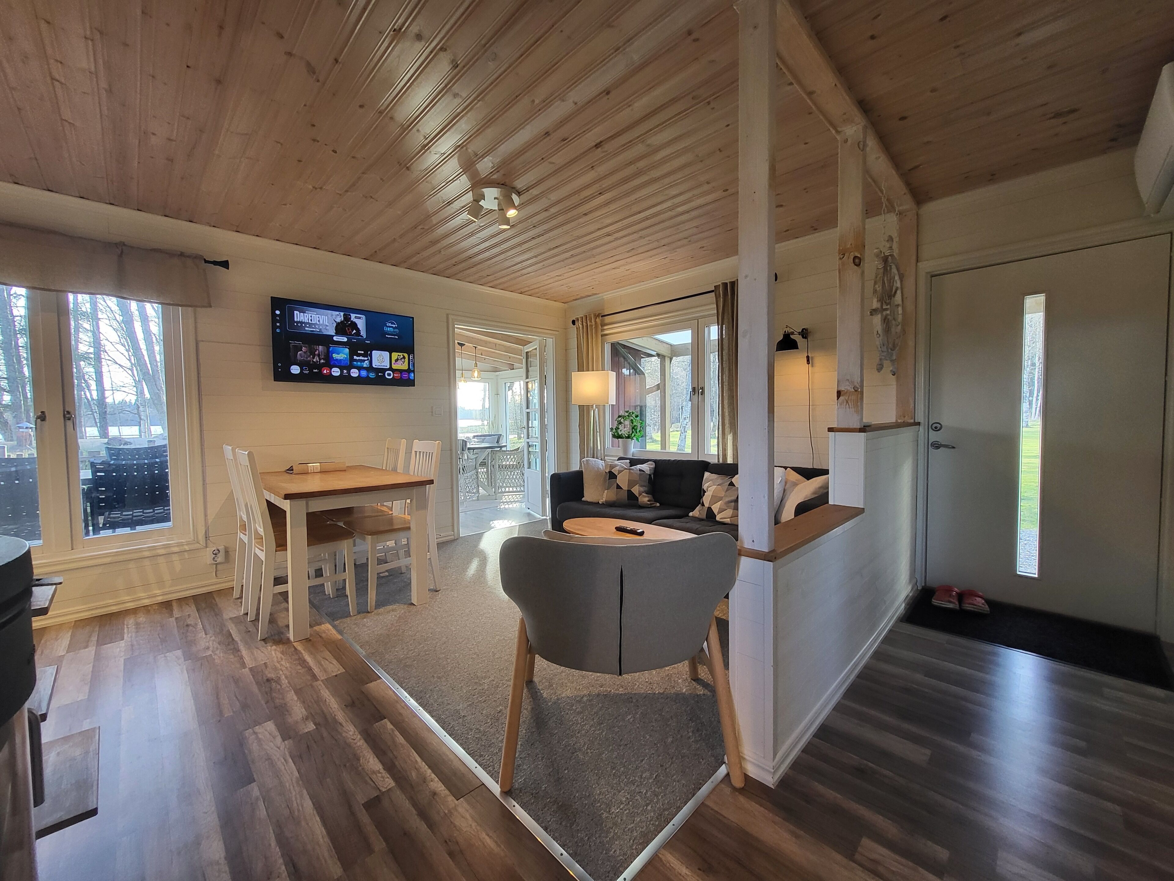 Smart TV, fireplace, books