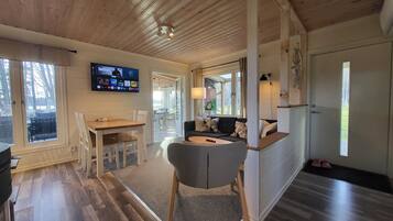 Smart TV, fireplace, books