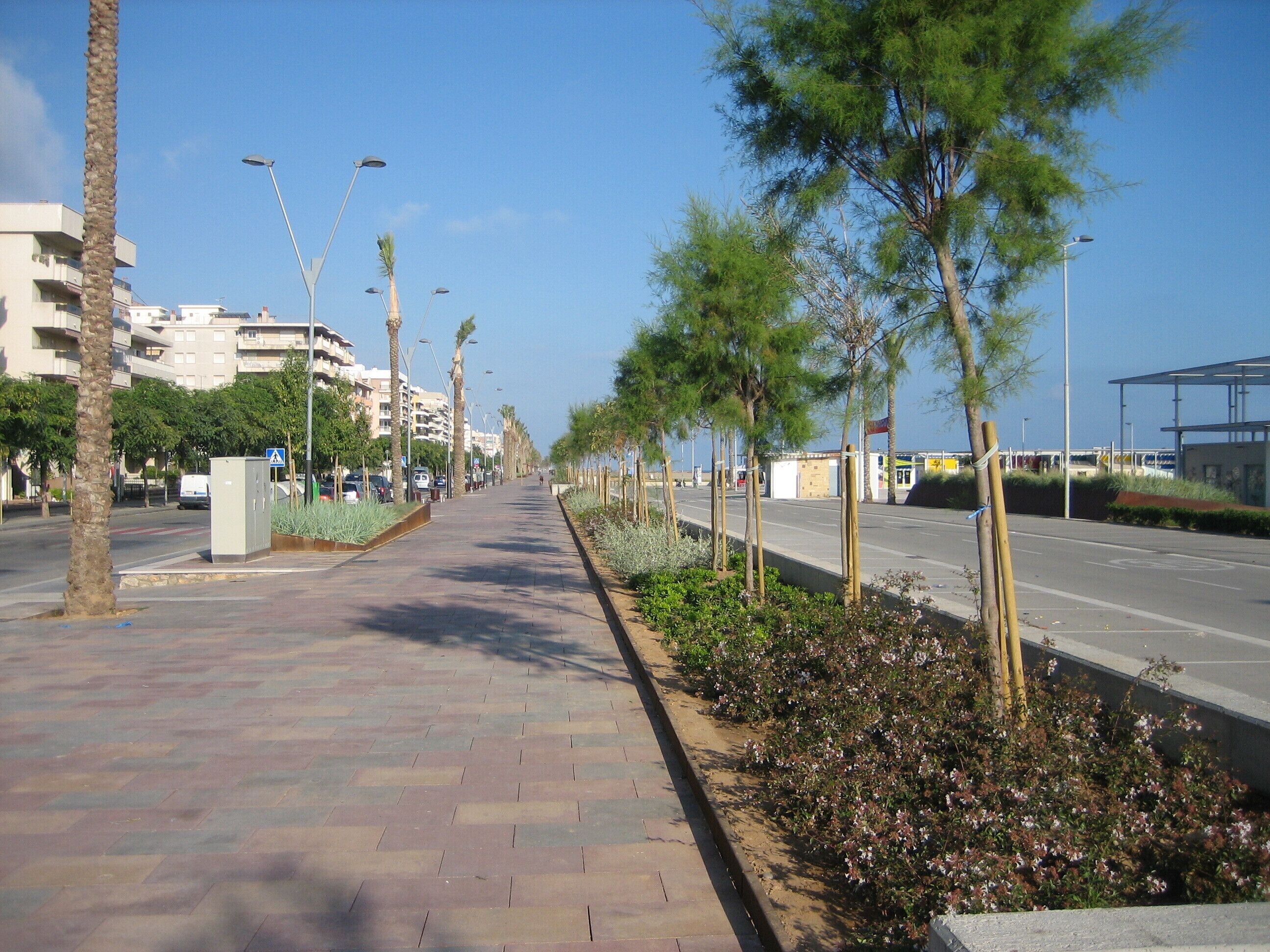 A paved walkway lined with trees and street lamps, leading to a building with a modern design.