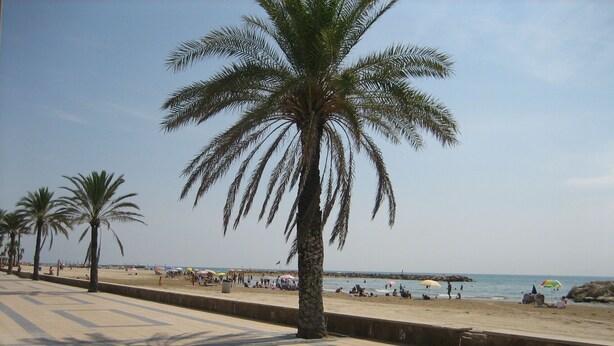 A beach promenade with palm trees, a tiled walkway, and beachgoers. - Duplex apartment with communal pool in Cunit (Can Torrents). (Cunit)