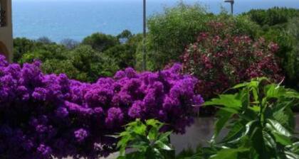 Casa con el jardín en el mar con la opinión hermosa del mar