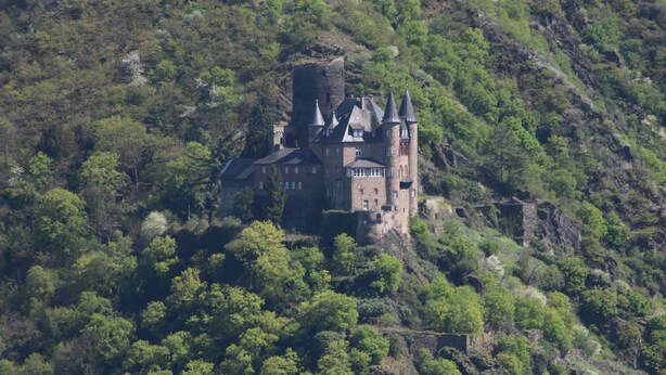 Une structure ressemblant à un château, entourée d’une forêt dense, avec de nombreuses tours et une tour centrale particulièrement imposante.