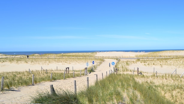 Um caminho de areia na praia, com placas de sinalização e um céu azul límpido.