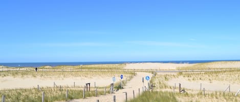 Una spiaggia nelle vicinanze