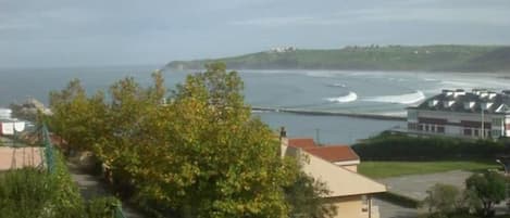 Une vue sur la côte, avec une promenade dallée, une clôture verte et des bâtiments aux toits rouges.