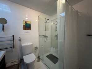 Shower, hair dryer, towels, toilet paper