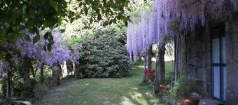 Huisje met tuin