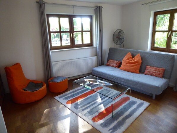 TV connectée, cheminée, livres, chaîne hi-fi