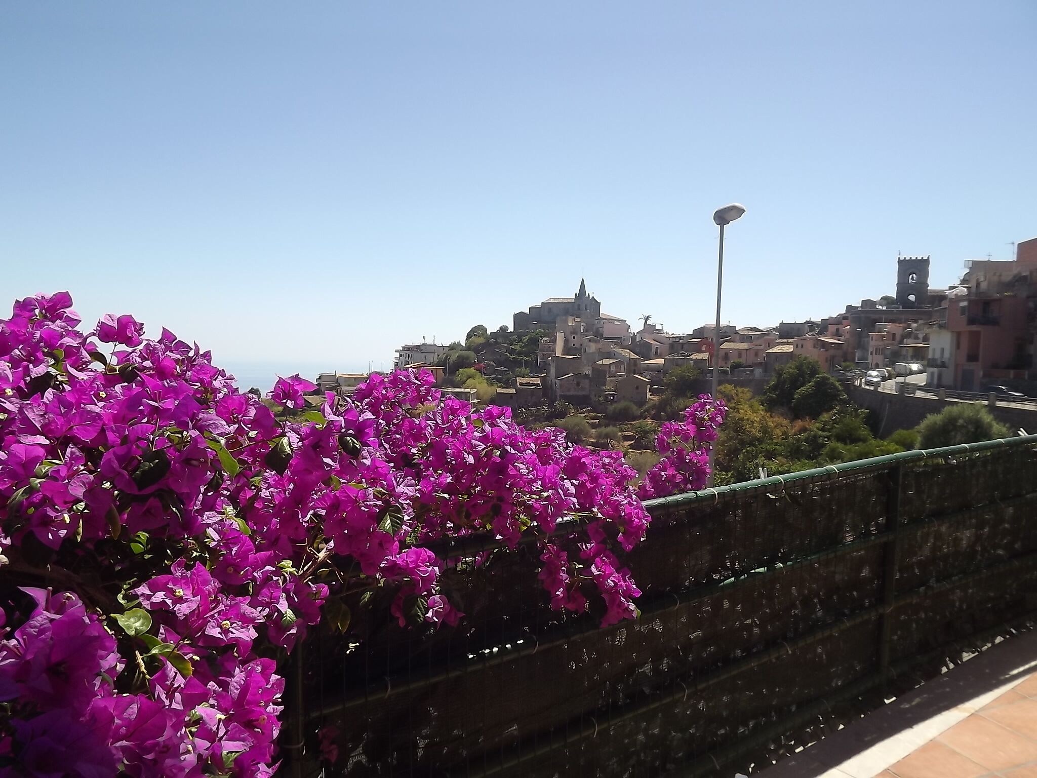 A coastal cityscape with a prominent clock tower, a clear sky, and vibrant purple bougainvillea flowers in the foreground.