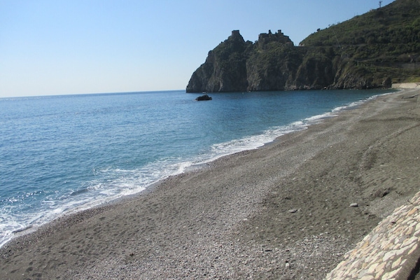 Lettini da mare
