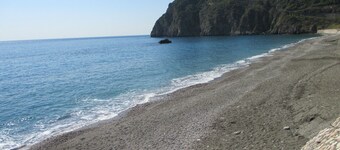 an offer you can not refuse ...