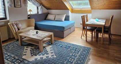 Komfortable Dachgeschoß-Ferienwohnung mit insgesamt 4 Räumen