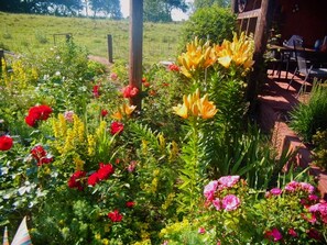 Um jardim com diversas flores e uma estrutura de madeira.
