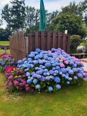 Overnattingsstedets uteområder