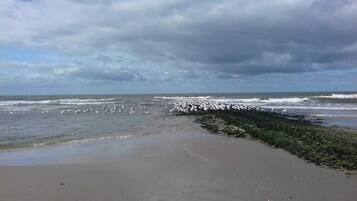 Plage à proximité, chaises longues