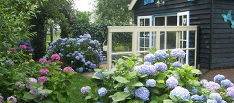 Our holiday home for those seeking tranquility stands on an island surrounded by nature