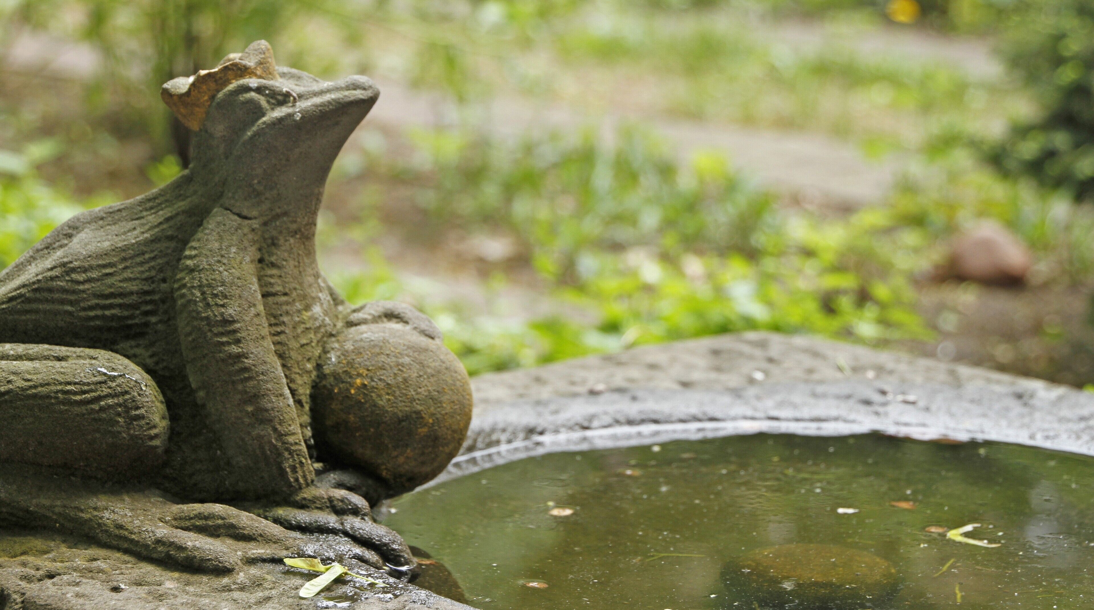 Una escultura de rana de piedra sentada sobre una roca junto a un estanque.