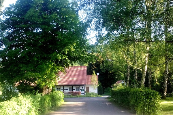 DAS FUCHSREVIER
Außenansicht