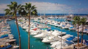 A marina with numerous boats docked, palm trees, and a clear sky. - Super nice apartment with sea view and super large terrace too  (Costa Adeje)