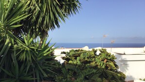 A rooftop garden with various plants, including a prominent cactus, overlooking a coastal view. - Super nice apartment with sea view and super large terrace too  (Costa Adeje)