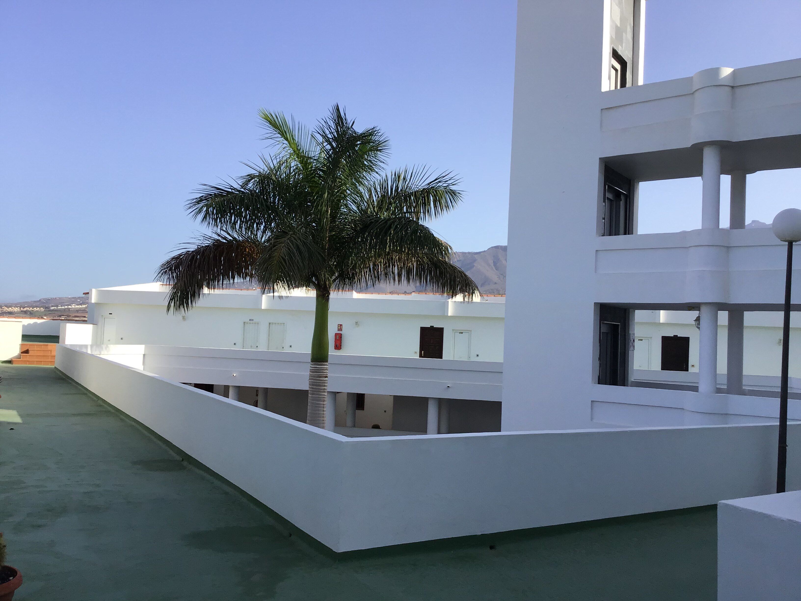 A modern building with a white exterior, a palm tree in the foreground, and a clear sky.