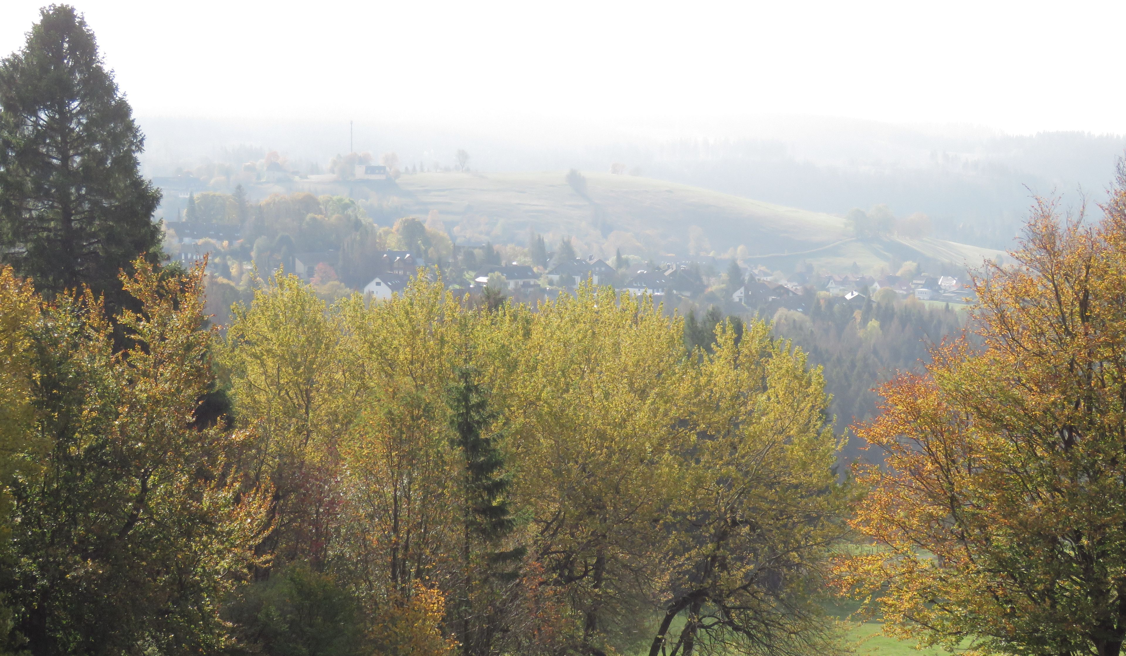 Un paysage rural avec des arbres, un champ herbeux et un village situé au loin.
