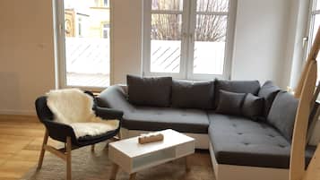 TV, fireplace, DVD player, books