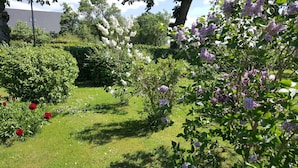 A garden with various flowering plants, a lawn, and a hedge. - Spacious apartment for up to 5 people centrally on the island of Rügen (Bergen auf Rügen OT Ramitz)