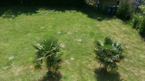 A grassy area with two palm trees and a concrete path. - 80 m² 100 m from the beach (Hermanville-Sur-Mer)