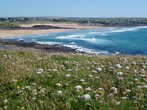 A coastal landscape with a grassy foreground, a sandy beach, and the ocean.