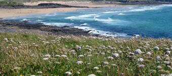 A Hidden Gem -- Cornish Cottage with Private Shared Valley and Beach - REDUCTION