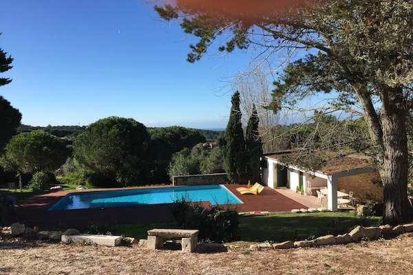 View from the top terrace