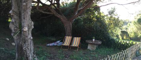 A tree with two striped chairs under it, a small table with a potted plant, and a stone wall with a wooden fence.