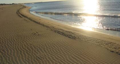 Appartement 50 m de la plage