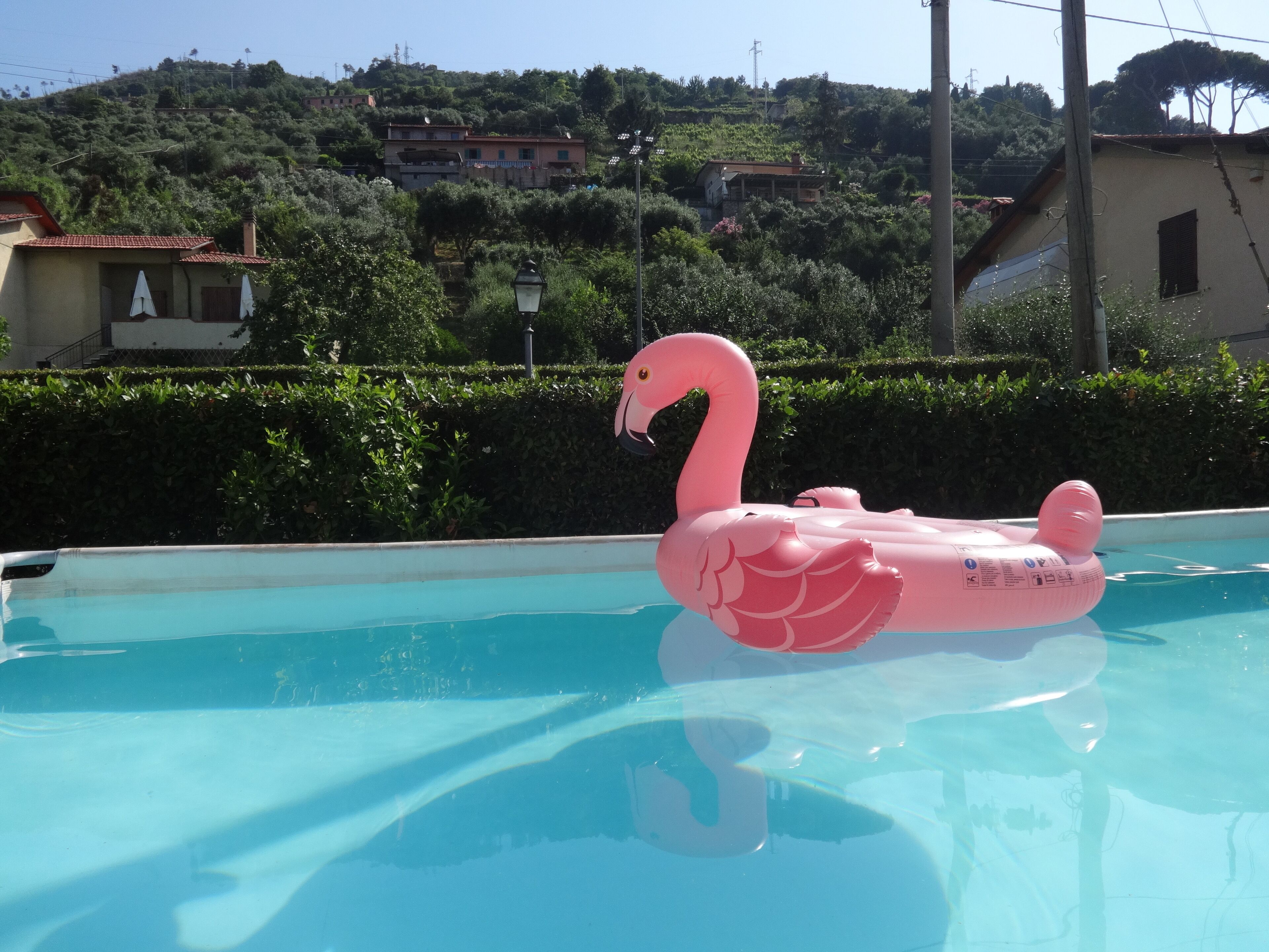 Piscine extérieure, piscine chauffée