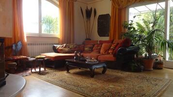 Télévision, cheminée