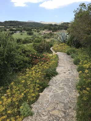 Property grounds - Finca with large grounds and sunny location near Arta (Arta)