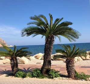 Ligstoelen aan het strand