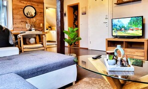 Smart TV, lareira, DVD player, livros