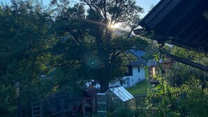 A backyard with a large tree, a greenhouse, and a house in the background.