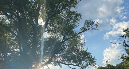 typical Apartment in the heart of national park "Hohe Tauern"