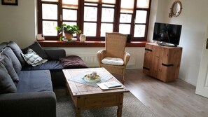 TV, fireplace, books, stereo