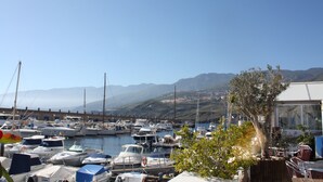 Ein Yachthafen mit vertäuten Booten, ein Baum und ein Gebäude mit Glasfassade.