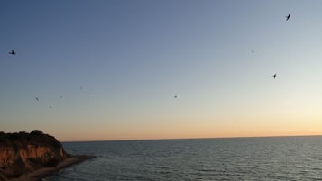 Vlak bij het strand