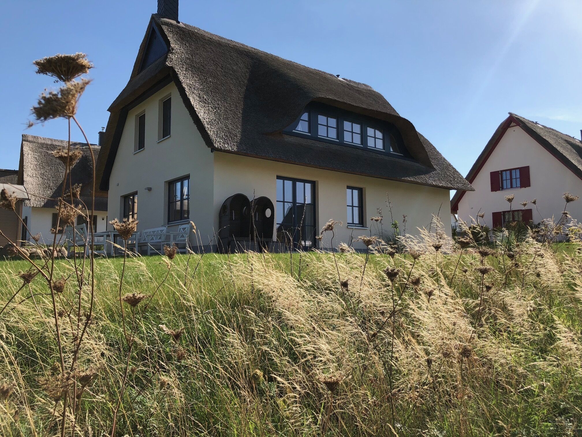 Eksteriør