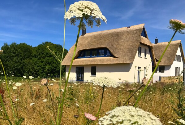 A traditional thatched-roof house with a white exterior, surrounded by a field of wildflowers and trees.