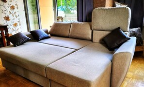 Smart TV, DVD player, books, music library